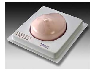 BREAST ELASTOGRAPHY PHANTOM MODEL 059 - THE PERFECT DEMONSTRATION TOOL FOR SONOELASTOGRAPHY 