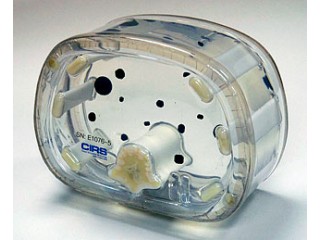 IMAGE-GUIDED ABDOMINAL BIOPSY PHANTOM MODEL 071 - TRANSPARENT FOR DEMONSTRATIONS AND VISUAL IDENTIFICATION OF NEEDLE PLACEMENT